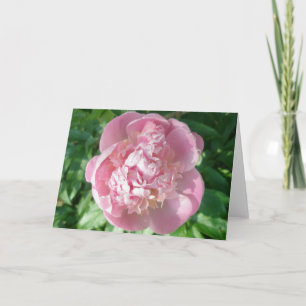 Pink Peony Note Card