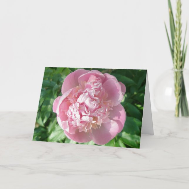 Pink Peony Note Card (Front)