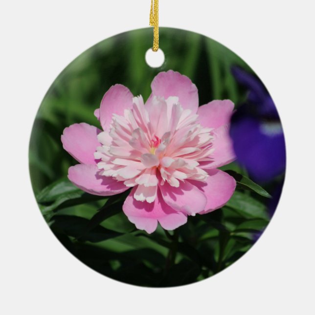 Pink Peony ornament (Back)