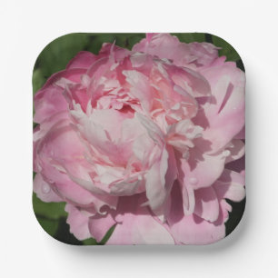 Pink Peony Paper Plate