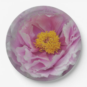 Pink Peony Paper Plate