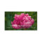 Pink Peony Personal Business Card