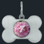 Pink Peony photo cottage farmhouse floral garden Pet Name Tag<br><div class="desc">A beautiful garden of pink peonies in the morning sun - photo by H Cooper.</div>