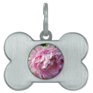 Pink Peony photo cottage farmhouse floral garden Pet Name Tag