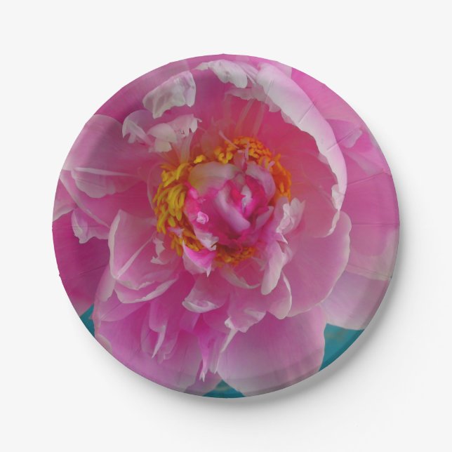 Pink Peony Plate (Front)