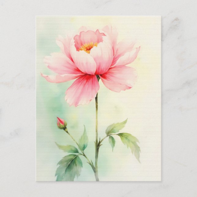 Pink Peony Postcard (Front)