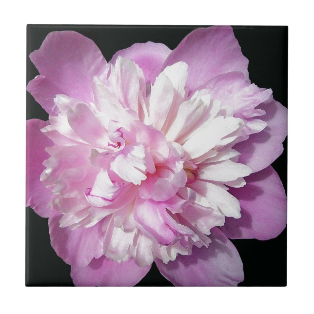 Pink Peony Tile (Front)
