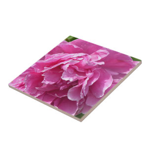 Pink Peony Tile