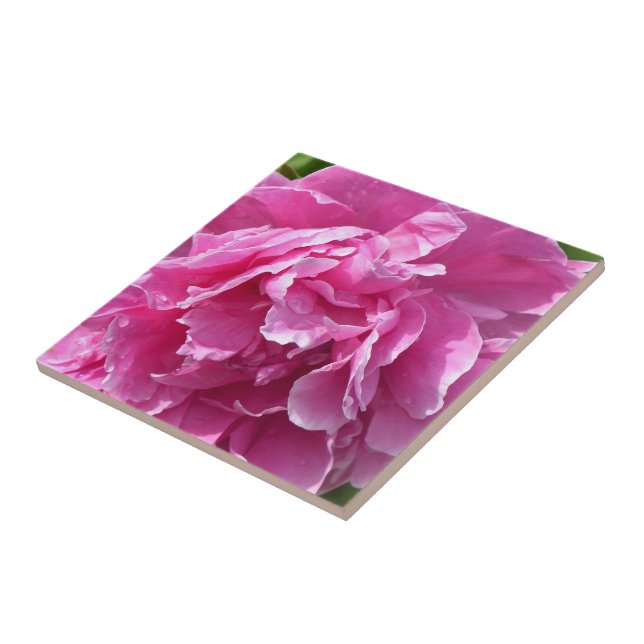 Pink Peony Tile (Side)