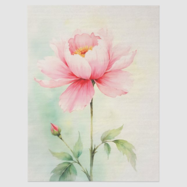 Pink Peony Tissue Paper (Front)
