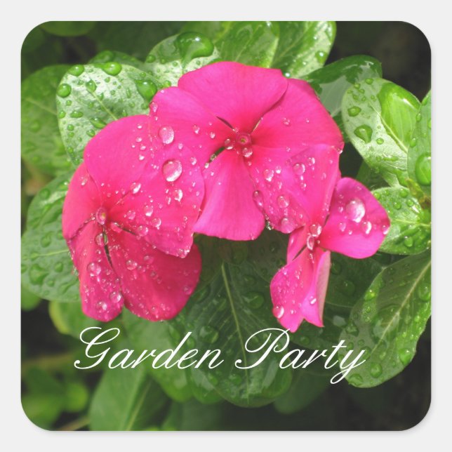 Pink Periwinkle - Stickers Garden Party (Devant)