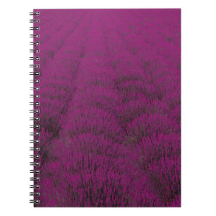 Pink petaled flower field notebook