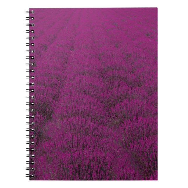 Pink petaled flower field notebook (Front)