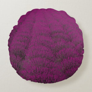 Pink petaled flower field round pillow