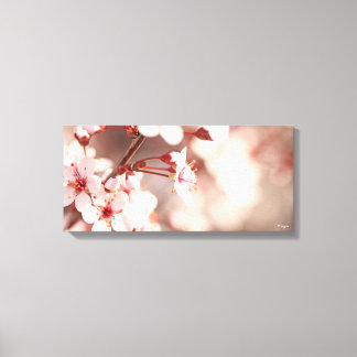 Pink Petals Canvas Print