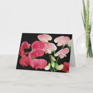 Pink Petals On Sandstone Greeting Cards