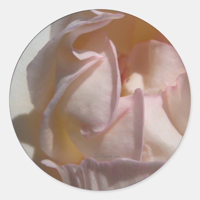 Pink Petals Rose Wedding Envelope Seal (Front)