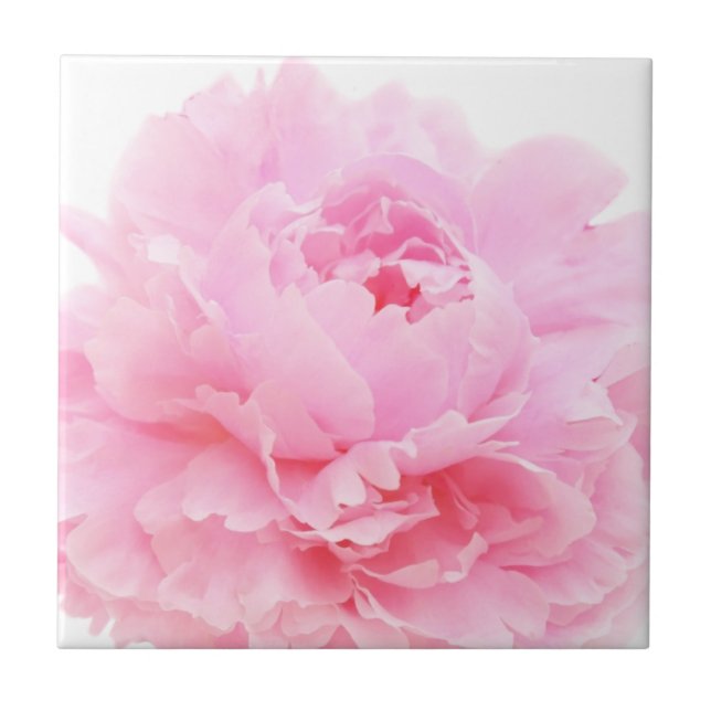 pink petals tile (Front)