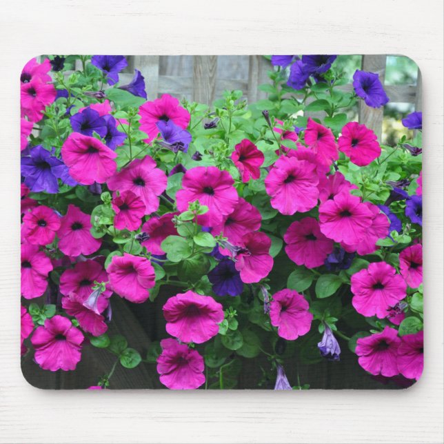 Pink petunia beauty mouse pad (Front)