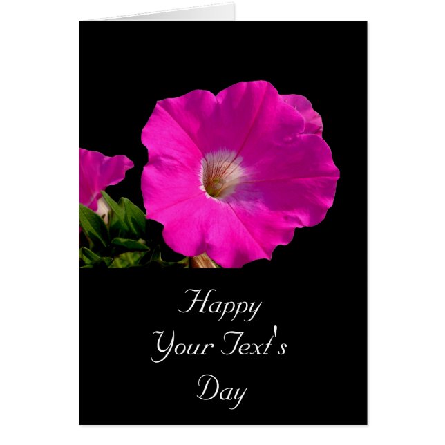 pink petunia flower (Front)