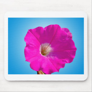 pink petunia flower in blue background. mouse pad