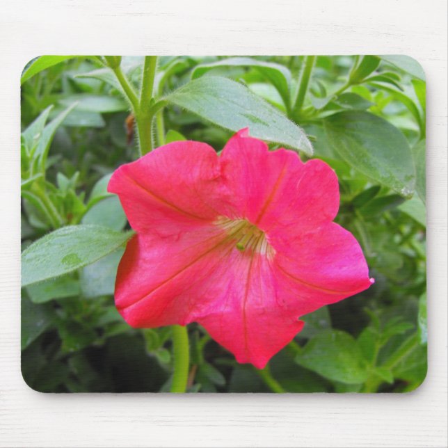 Pink Petunia Flower Mouse Pad (Front)