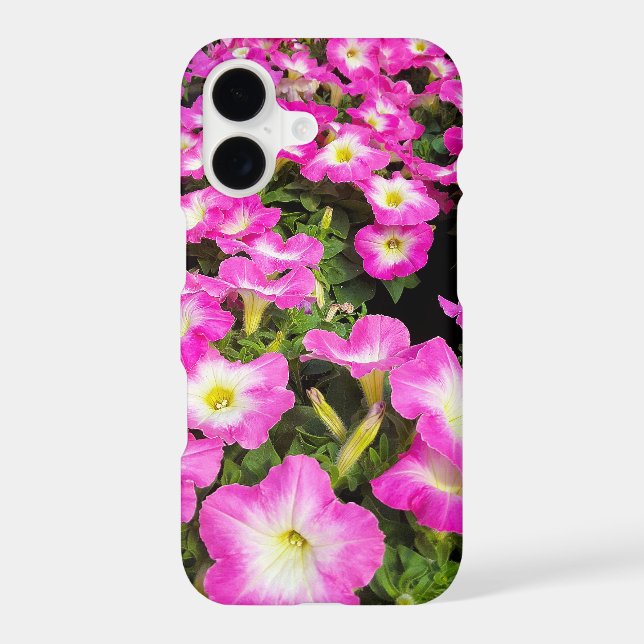 pink petunia plants (Back)