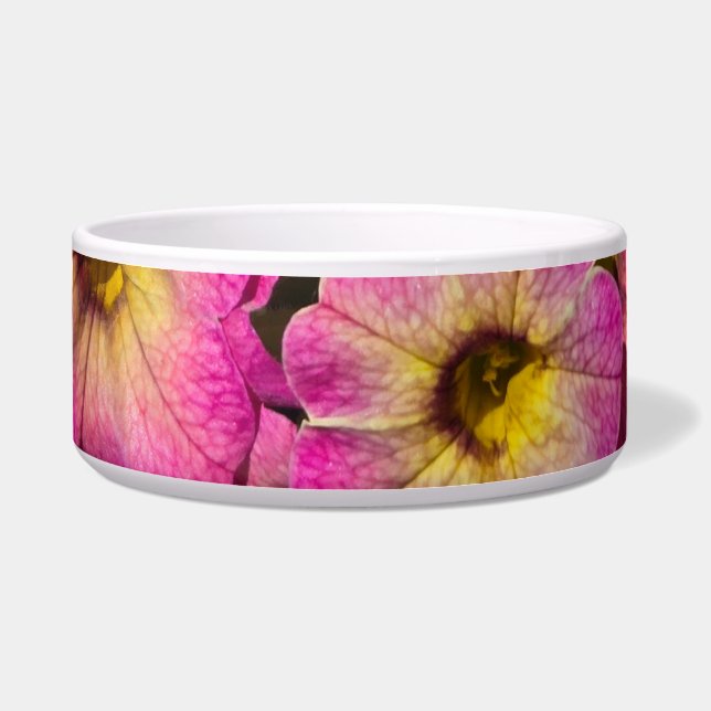 Pink petunias (Front)