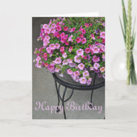 Pink petunias floral