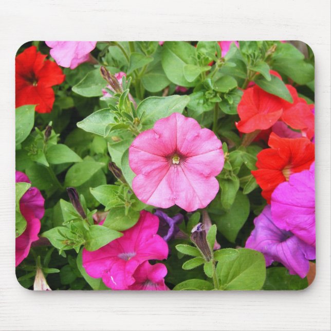 Pink Petunias Mouse Pad (Front)