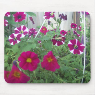 Pink Petunias Mouse Pad