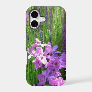 Pink Phlox and Grass Summer Floral