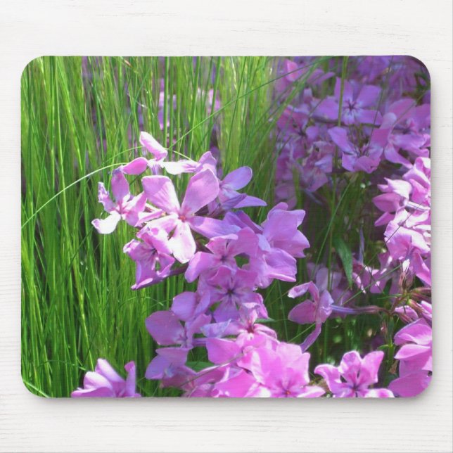 Pink Phlox and Grass Summer Floral Mouse Pad (Front)