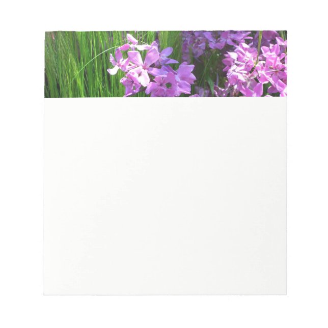 Pink Phlox and Grass Summer Floral Notepad (Front)
