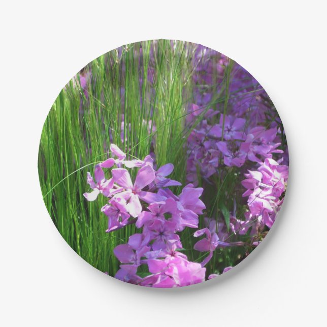 Pink Phlox and Grass Summer Floral Paper Plate (Front)