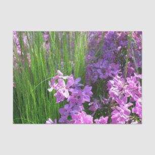 Pink Phlox and Grass Summer Floral Tissue Paper