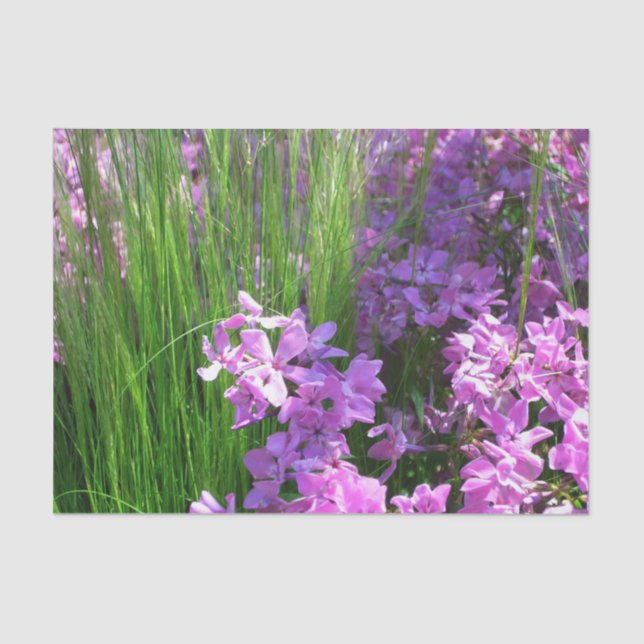 Pink Phlox and Grass Summer Floral Tissue Paper (Front)