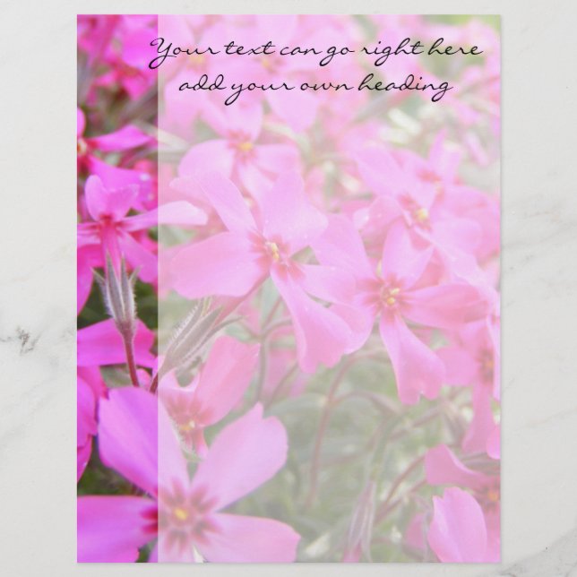 Pink Phlox Flowers Letterhead (Front)