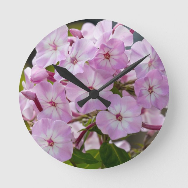 Pink Phlox Round Clock (Front)