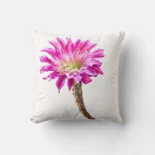 Pink Piazza cactus flower in bloom Throw Pillow