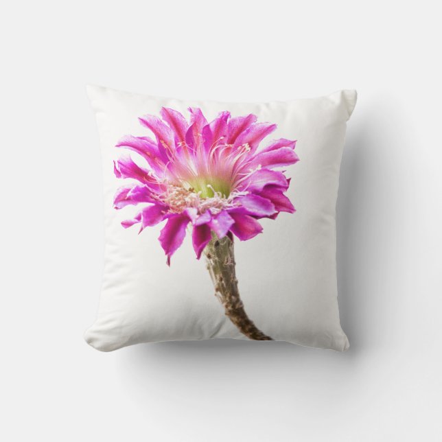 Pink Piazza cactus flower in bloom Throw Pillow (Front)