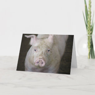 Pink Pig All Occasions  Card