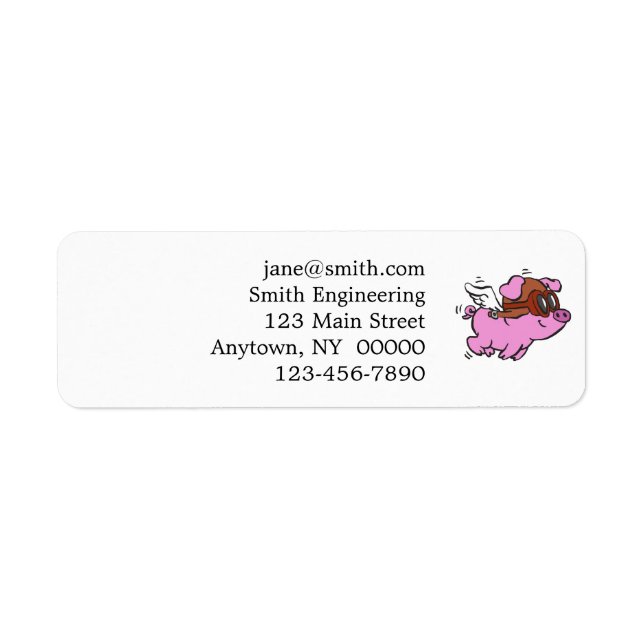 Pink pig flying cartoon | choose background colour (Front)