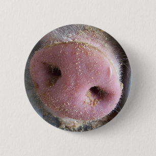 Pink Pig nose close up photograph 2 Inch Round Button