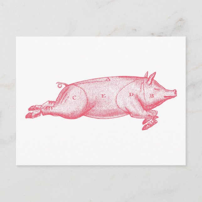 Pink Pig Postcard (Front)