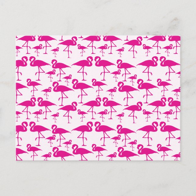 Pink Pink Flamingo Postcard (Front)