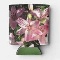 Pink, Pink White Asiatic Lilies