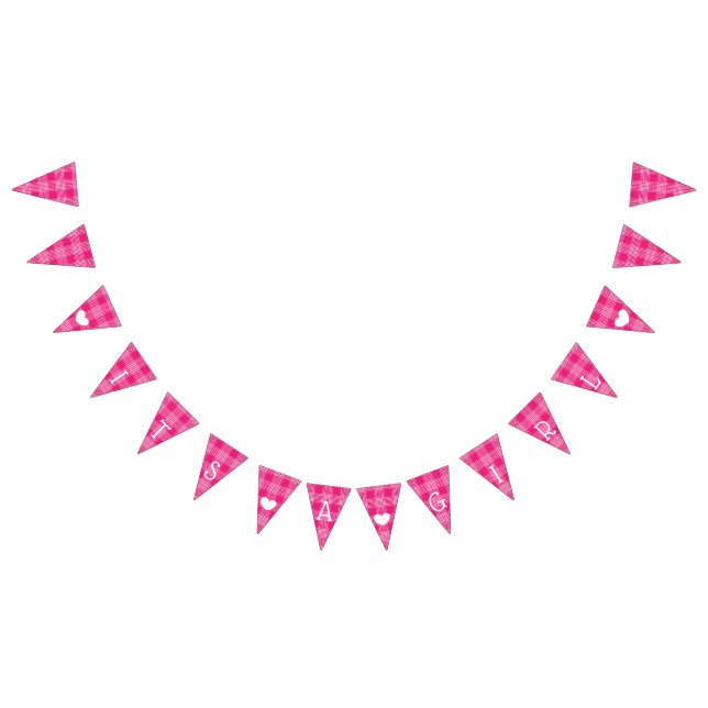 Pink Plaid Its a Girl Baby Shower Bunting Flags (All)