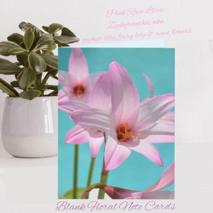 Pink Pluie Lys Aqua Blue Blank