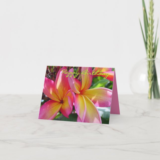 Pink Plumeria Blooms Birthday Card (Front)